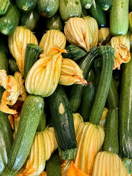 Courgettes e flores de courgette da horta